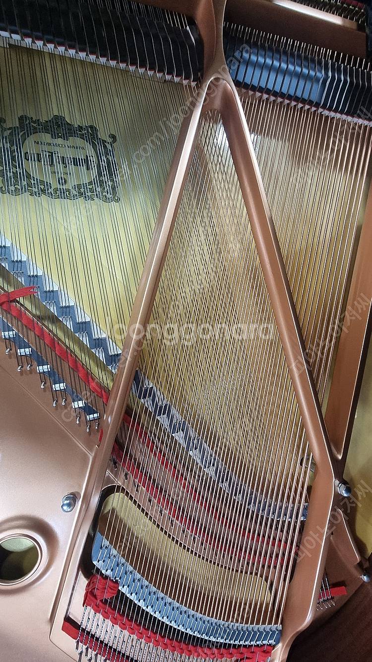 (초특가)2022년제품야마하베이비그랜드피아노 GC-1--7