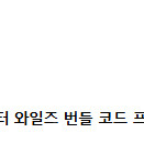 몬스터헌터 와일즈 amd 번들 대리등록 가능