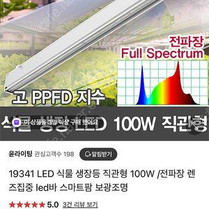 식물등 100w