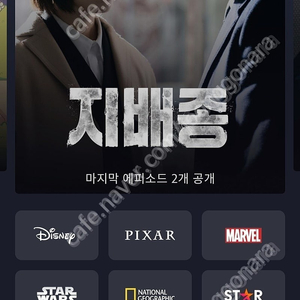 디즈니플러스 6개월 같이 보실 한분구해요