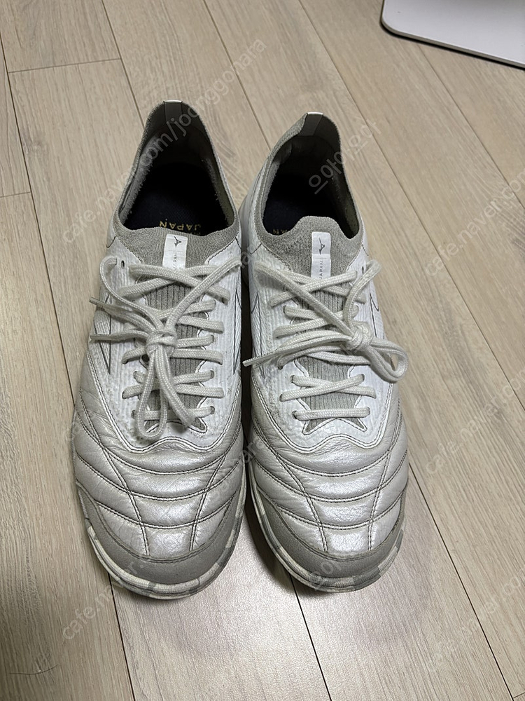 미즈노 살라 베타 265사이즈--2