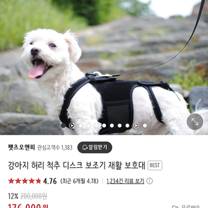 강아지 척추보호대 xs-2