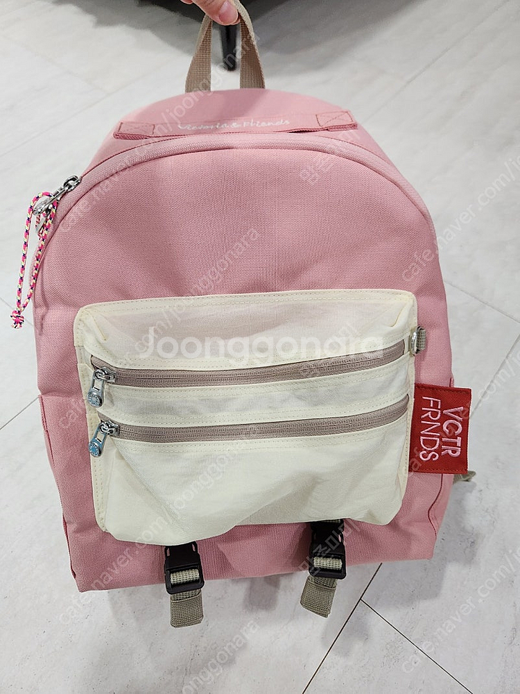 빅토리아 프렌즈 소풍 가방--0