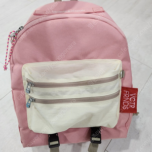 빅토리아 프렌즈 소풍 가방