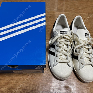 아디다스 슈퍼스타 82 - 크림:블랙 / GY7037 240