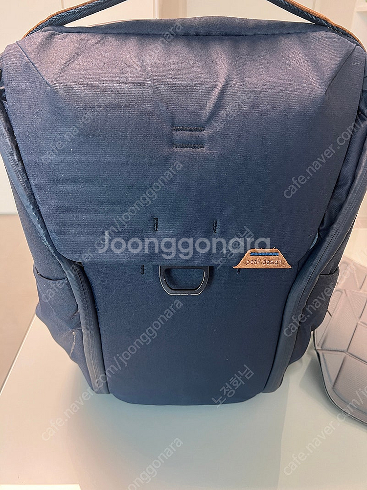 픽디자인 가방 에브리데이 백팩 V2 20L--0