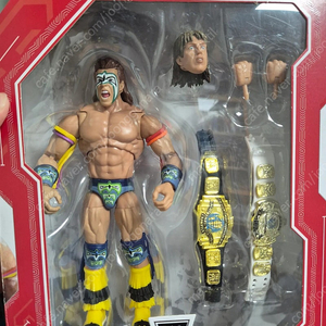 wwe 피규어 정리 (11차 마지막)