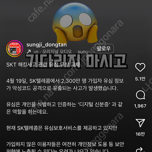 셀린느 틸리백
