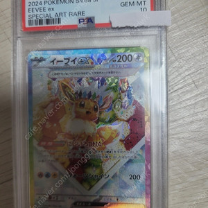 포켓몬등급카드테라스탈이브이일판psa10