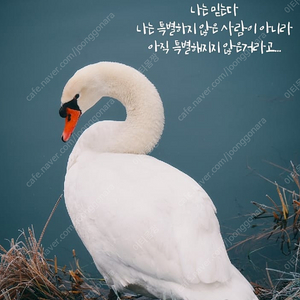 atmet one 컨테이너 에어백 수출포장재 포장 수출 컨테이너
