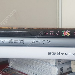할인,일본,사진집,나츠메 히비키,산노미야 츠바키