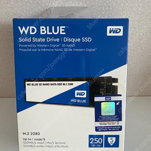SSD/ WD Blue 250GB WDS250G2B0B