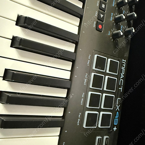 넥타 IMPACT LX49+ 미디 건반 미스터키보드