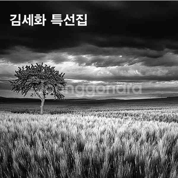 [구입] 김세화 특선집 CD 5만원에 구입합니다.--0