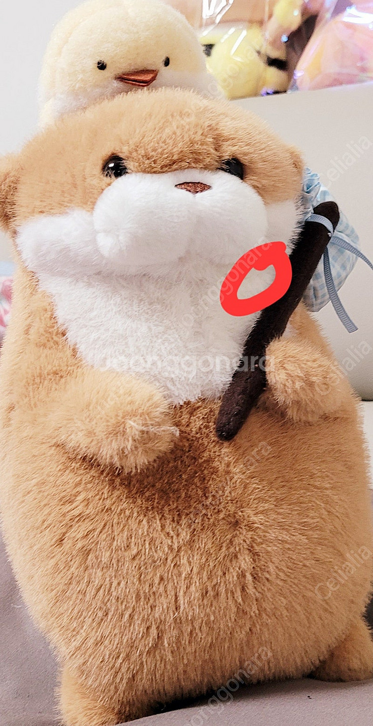 산리오, 짱구, 치이카와, 우소우소짱 인형 판매합니다 ...--5