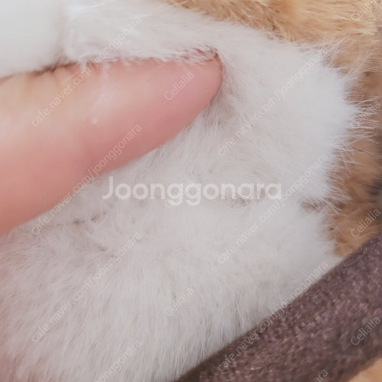 산리오, 짱구, 치이카와, 우소우소짱 인형 판매합니다 ...--6
