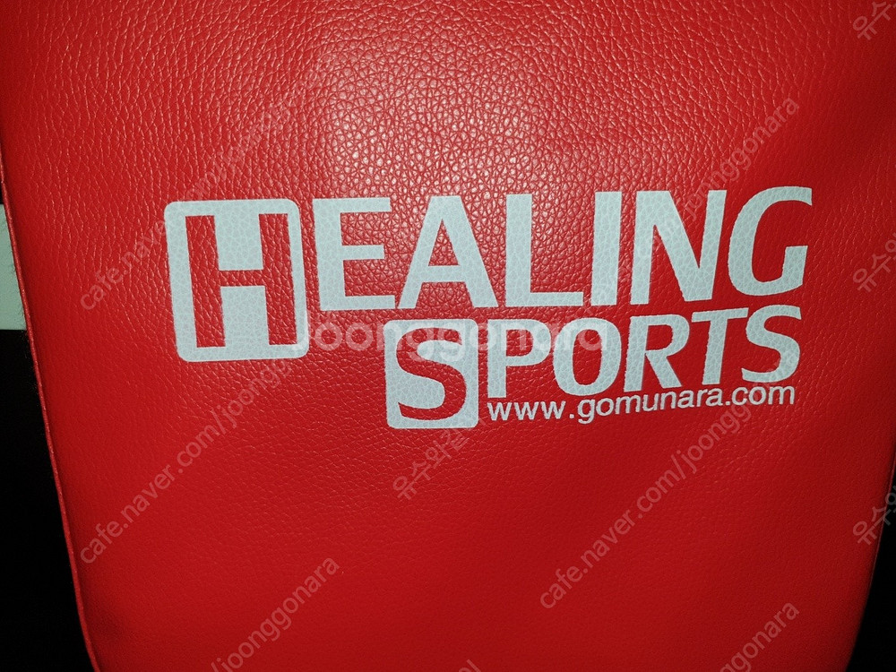 치닝 디핑 푸쉬업바 턱걸이 철봉 healing spor...--1