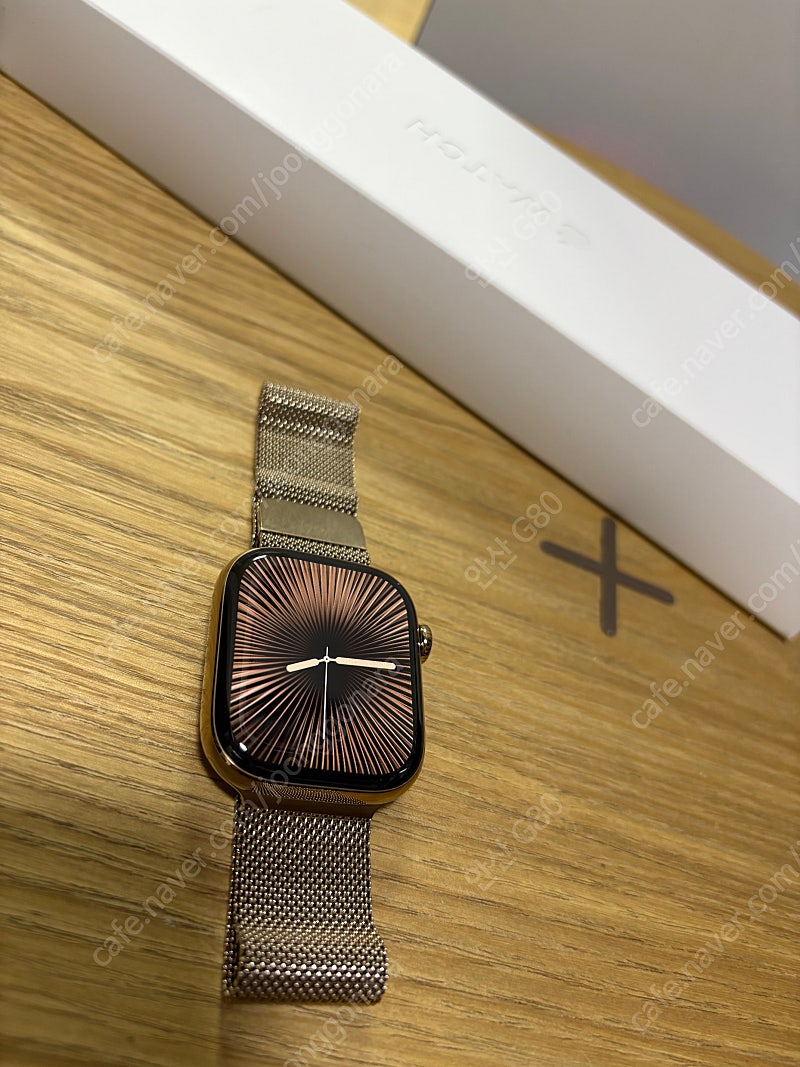 애플워치10 GPS+Cellular 42mm 티타늄골드 밀레니즈 루프 에플케어 까지 팔아요