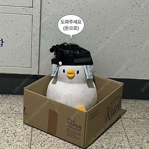 5월 7일 수요일 lg트윈스 두산베어스 잠실야구장 18시 30분 경기 중앙네이비 317구역 양도