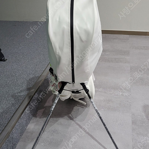 어뉴 골프백