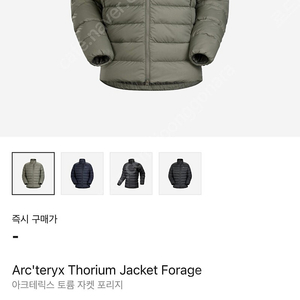 아크테릭스 논후디 토륨 포리지 팝니다