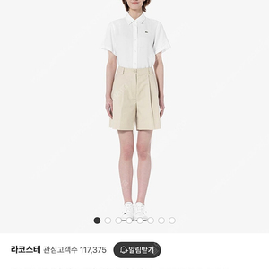 라코스테 버뮤다 팬츠 24ss 매장 인기 품절상품