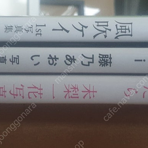 일본,사진집,후부키 케이,후지노 아오이,하나이 미리
