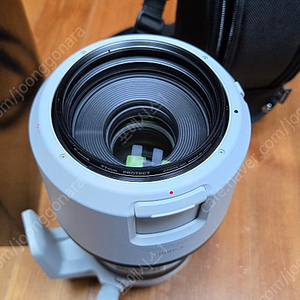 캐논 RF100-500mm F4.5-7.1 L IS USM