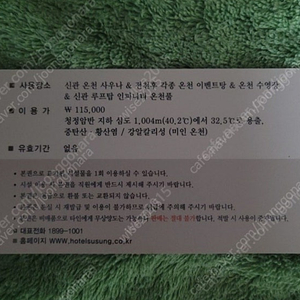 호텔수성 인피니티풀 이용권
