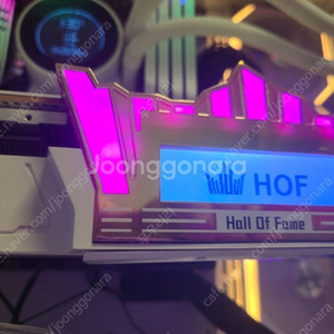 갤럭시 2080ti hof 단품