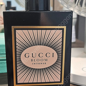 구찌 블룸 오드퍼퓸 인텐스 100ml