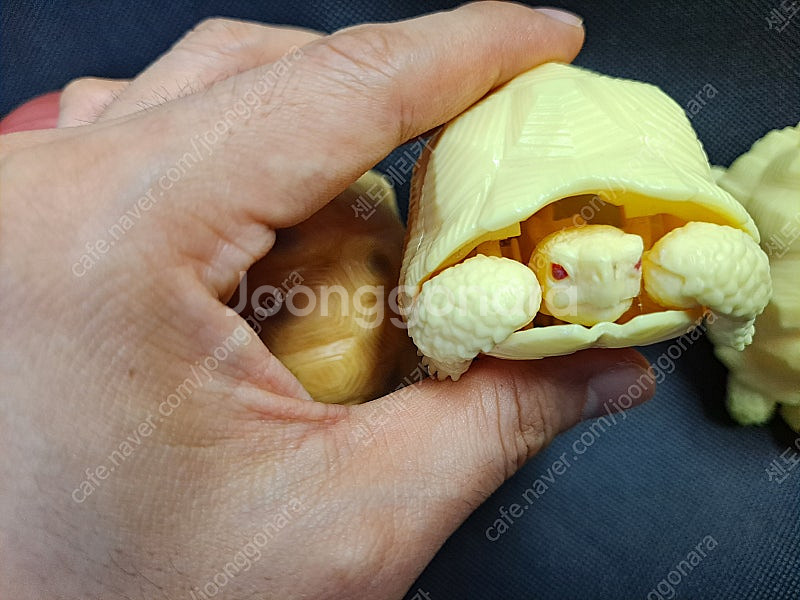반다이 생물대도감 거북이, 피규어 싸게! 4개 일괄로 ...--2