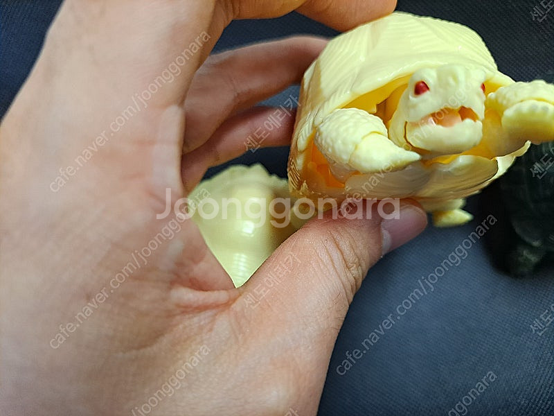 반다이 생물대도감 거북이, 피규어 싸게! 4개 일괄로 ...--3