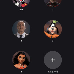 디즈니플러스 / 넷플릭스 공유
