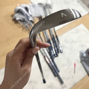 여성 골프채 피알지알