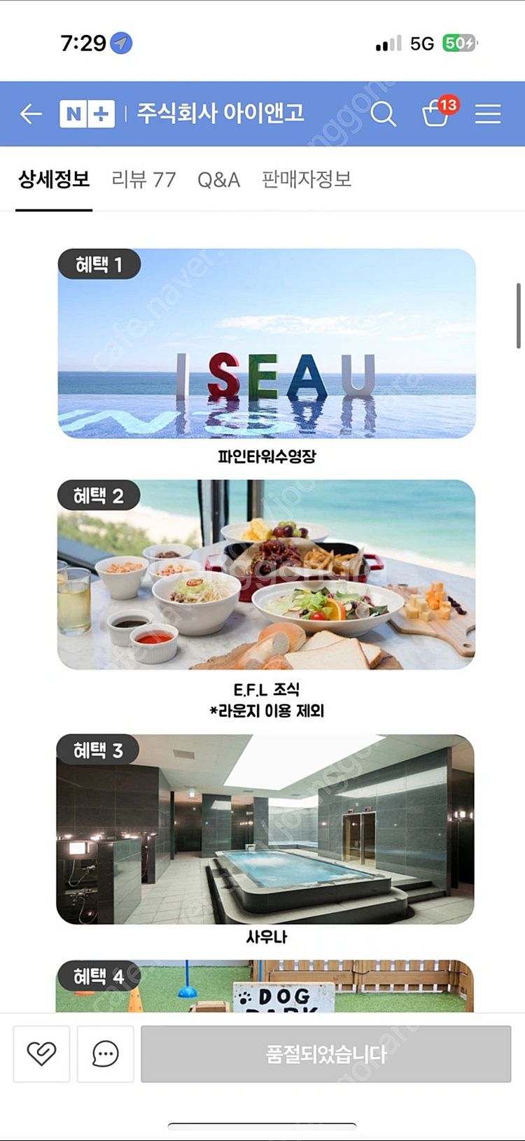 강릉 세인트존스호텔 펫룸 숙박권(애견동반)--0