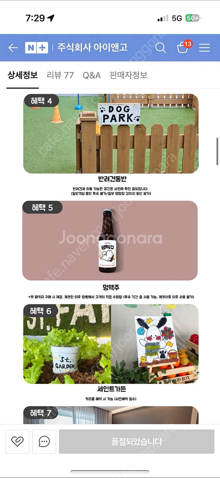 강릉 세인트존스호텔 펫룸 숙박권(애견동반)--1