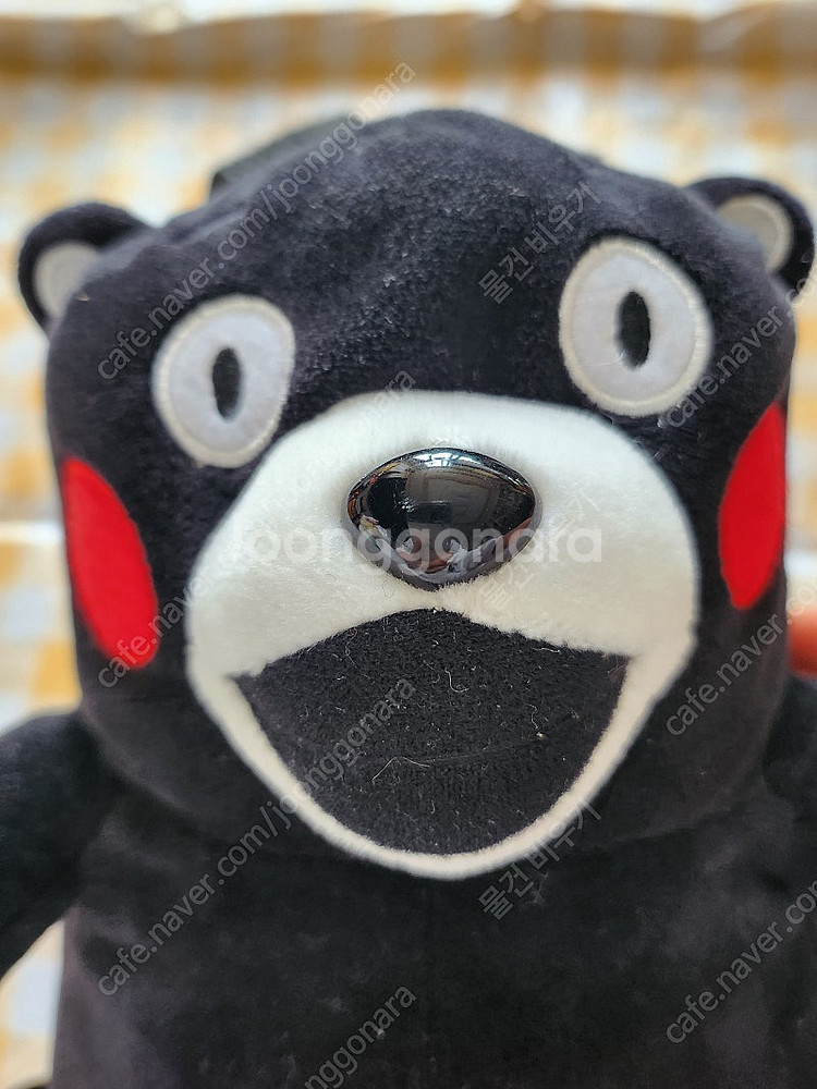 구마몬 백팩 새상품 택포--1