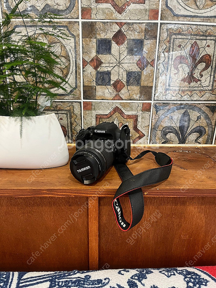 캐논800D 탐론렌즈--0