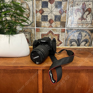 캐논800D 탐론렌즈