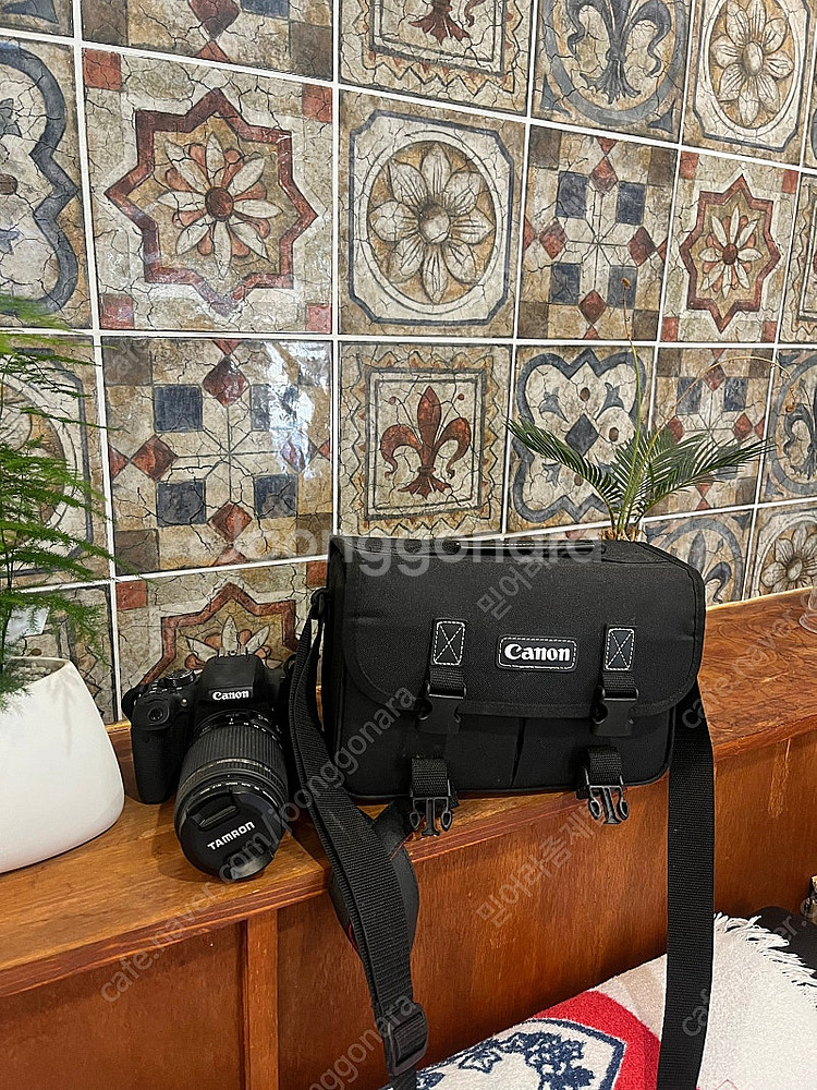 캐논800D 탐론렌즈--1