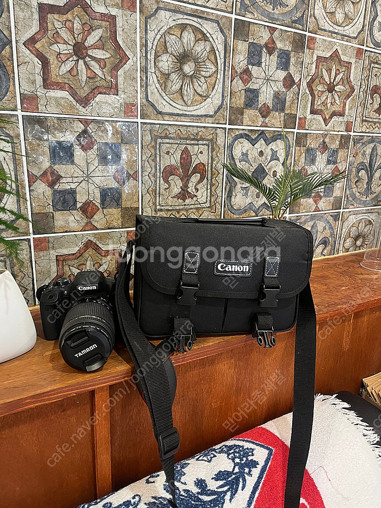 캐논800D 탐론렌즈--2