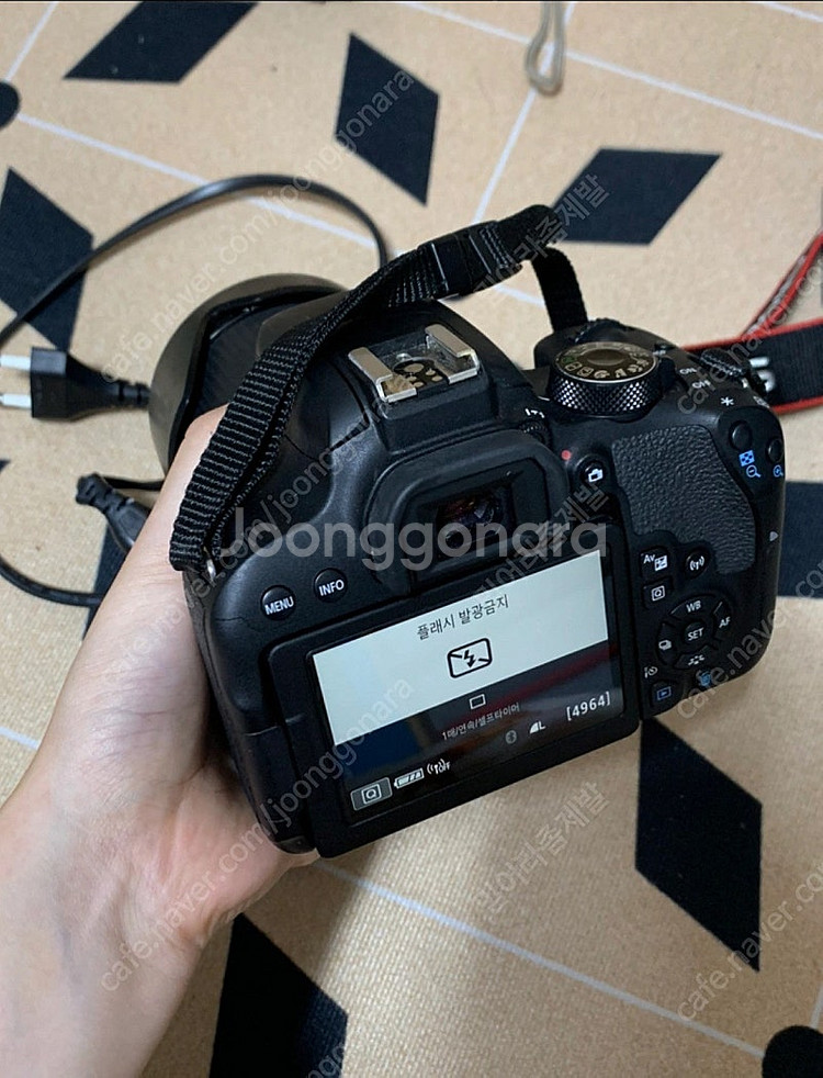 캐논800D 탐론렌즈--4
