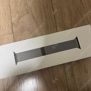 애플 정품 밀레니즈루프 슬레이트 46mm