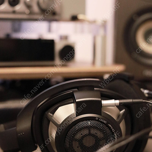 HD800S