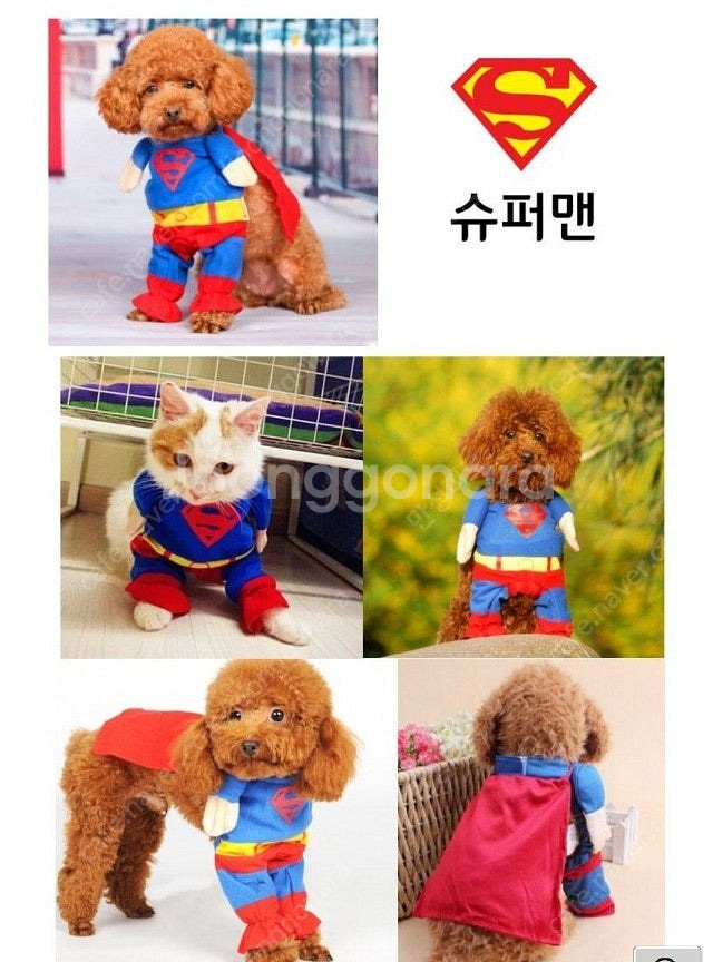 강아지 코스프레 할로윈 슈퍼맨 의류--2