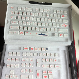 XDA 사쿠라 일뽕 키캡