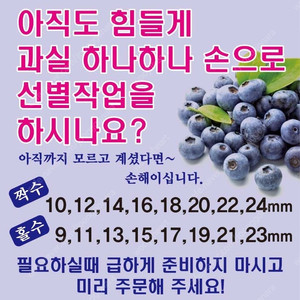 블루베리 수동선별기 판매