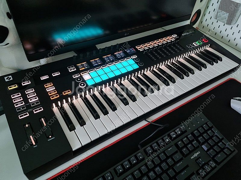 노베이션 novation 49SL MK3 팝니다--0
