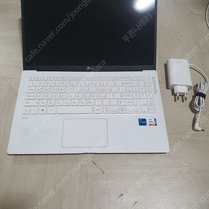 LG전자 그램 15인치 노트북 15ZB95N-GP5HL